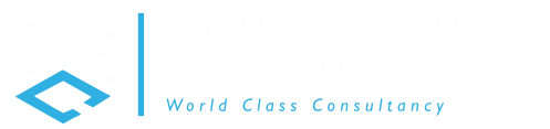 Capital Excellence Consulting